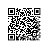 尼龍衛(wèi)浴扶手的優(yōu)秀性能