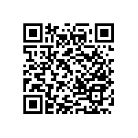 【尼龍】無障礙扶手的配件更優(yōu)質(zhì)