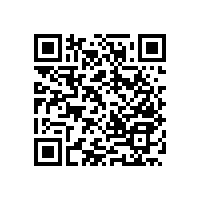 尼龍無障礙衛(wèi)生間扶手-可以放卷紙的扶手【藍(lán)品盾】