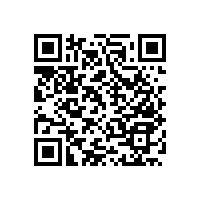 如何降低衛(wèi)生間風(fēng)險(xiǎn)？洗澡間防滑扶手【藍(lán)品盾】