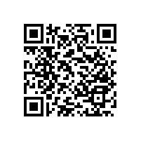 如何正確的選擇公共場(chǎng)所衛(wèi)生間無障礙扶手·藍(lán)品盾