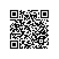 讓客戶贊不絕口的殘疾人無障礙扶手究竟是哪一款？