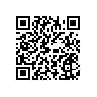 讓人放心的衛(wèi)浴扶手品牌【藍品盾】