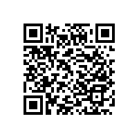 日照什么地方出售殘疾人扶手 藍(lán)品盾