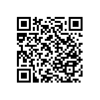 【四川】尼龍衛(wèi)生間扶手，人見人夸