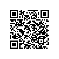 【四川】尼龍衛(wèi)浴扶手，藍(lán)品盾為您推薦合適的!