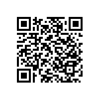 【四川】遵義尼龍衛(wèi)生間扶手的采購