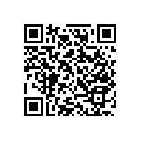 適合安裝在衛(wèi)生間里的衛(wèi)生間扶手怎么裝【藍品盾】