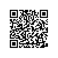 【上海】衛(wèi)生間扶手選購，藍品盾廠家是一個不錯的選擇！