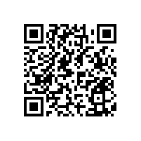 適合用在公共衛(wèi)生間的殘疾人衛(wèi)生間安全扶手【藍(lán)品盾】