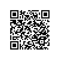 設(shè)計(jì)感強(qiáng)的衛(wèi)生間扶手可以選擇這樣的！【藍(lán)品盾】