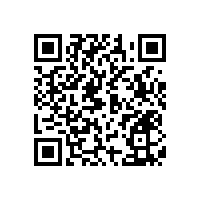 適老化改造無(wú)障礙扶手劃算的款式推薦【藍(lán)品盾】