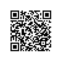 濕漉漉的衛(wèi)生間安裝無障礙扶手更安全！【藍(lán)品盾】