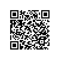 沙坪壩區(qū)馬家醫(yī)用扶手-衛(wèi)生間專用款式