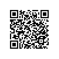 “喪心病狂”的衛(wèi)生間-衛(wèi)生間墻壁安全扶手【藍(lán)品盾】