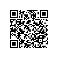 實用性很強的衛(wèi)生間安全扶手怎么安裝【藍品盾】