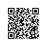 U型落地馬桶扶手，舒適易用，貼心守護(hù)【藍(lán)品盾】