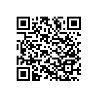 衛(wèi)生間安全扶手