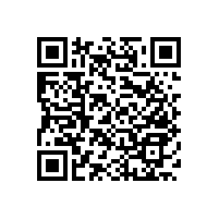 衛(wèi)生間不銹鋼扶手為老人增加便利度【藍(lán)品盾】