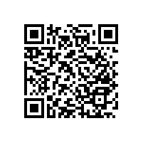 衛(wèi)生間殘疾扶手-不容忽視的存在【藍(lán)品盾】