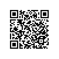 衛(wèi)生間殘疾人安全扶手-新品款式上線啦【藍(lán)品盾】