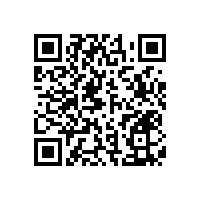 衛(wèi)生間殘疾人扶手廣州藍(lán)品盾現(xiàn)貨供應(yīng)款式百種