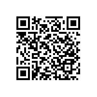 衛(wèi)生間殘疾人扶手【藍(lán)品盾】