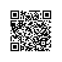 衛(wèi)生間殘疾人扶手-滿(mǎn)足年老體弱者的需求丨廠銷(xiāo)價(jià)