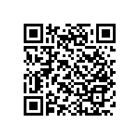 衛(wèi)生間殘疾人扶手設計簡約【藍品盾】