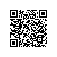 衛(wèi)生間殘疾人扶手有哪些益處？【藍品盾】