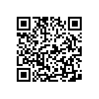 衛(wèi)生間殘疾人坐便扶手日常防滑小幫手-易清潔耐用【藍(lán)品盾】