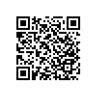 衛(wèi)生間殘疾人坐便器扶手安全防滑！【藍品盾】