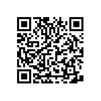 衛(wèi)生間蹲便扶手丨藍(lán)品盾的暢銷款式