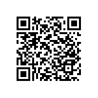 衛(wèi)生間防滑選哪樣？廁所防滑扶手【藍(lán)品盾】