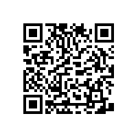 衛(wèi)生間防摔倒的老年人扶手