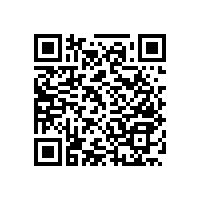 衛(wèi)生間扶手到那里買(mǎi)-廠家直銷(xiāo)【藍(lán)品盾】