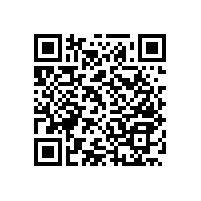 衛(wèi)生間扶手可90度上翻輕松使用【藍品盾】