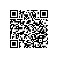 衛(wèi)生間扶手，來看看都有哪些款式？【藍品盾】