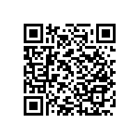 衛(wèi)生間扶手老人不銹鋼-公廁有了它方便多了【藍品盾】