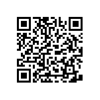 衛(wèi)生間扶手 老人用的有什么好的款式可以推薦的呢？老司機(jī)來告訴您！