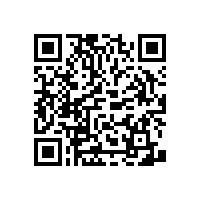 衛(wèi)生間扶手老人折疊式能否起到肋力作用【藍品盾】