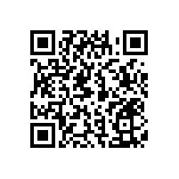 衛(wèi)生間扶手生產(chǎn)廠家哪里有？【藍品盾】