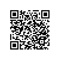 【衛(wèi)生間扶手】外形大同小異，卻是天壤之別