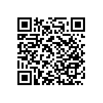 衛(wèi)生間扶手一般多長【藍品盾】