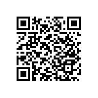 衛(wèi)生間老年人扶手-輕松實(shí)用的老年小助手【藍(lán)品盾】