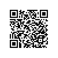 衛(wèi)生間老人房扶手簡約方便【藍品盾】