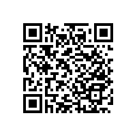 衛(wèi)生間老人扶手帶卷紙的簡約化設(shè)計(jì)【藍(lán)品盾】