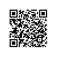 衛(wèi)生間老人防摔扶手貼心設(shè)計(jì)可收納【藍(lán)品盾】