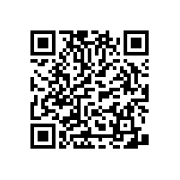 衛(wèi)生間老人扶手好的款式有哪些？【藍(lán)品盾】