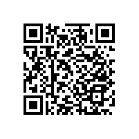 衛(wèi)生間老人扶手為老人提供舒適的環(huán)境【藍(lán)品盾】